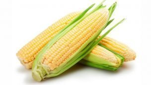 Organic Sweet Corn